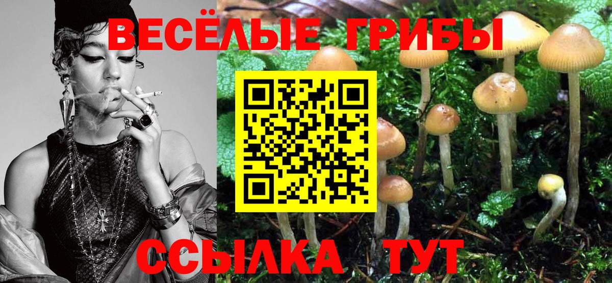Галлюциногенные грибы GOLDEN TEACHER Советск